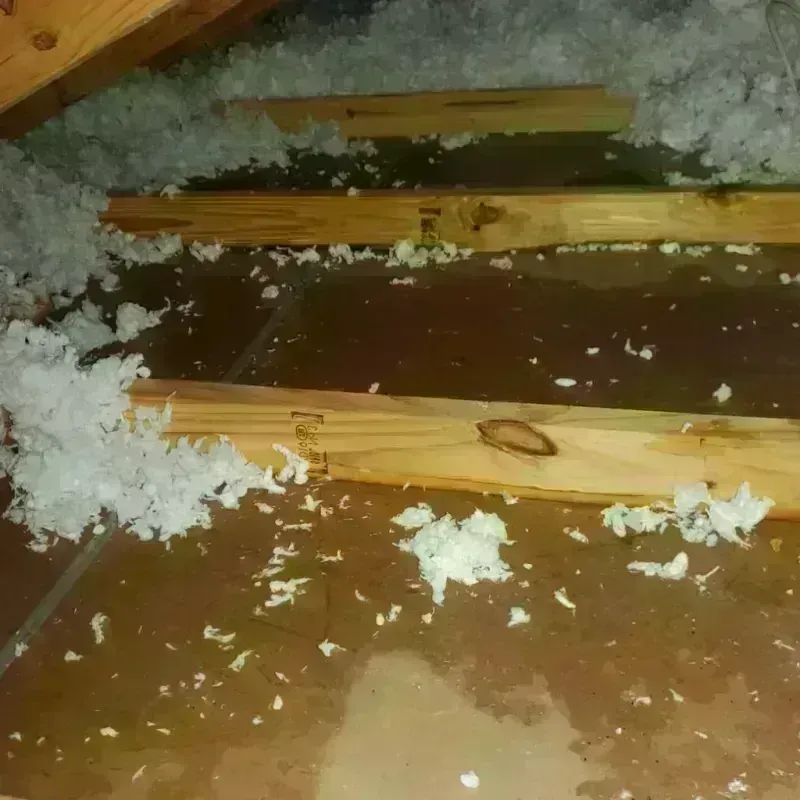 Attic Water Damage in Allegan County, MI