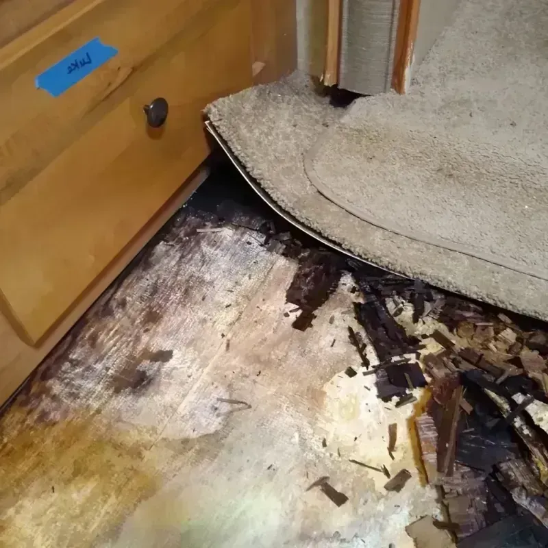 Wood Floor Water Damage in Allegan County, MI